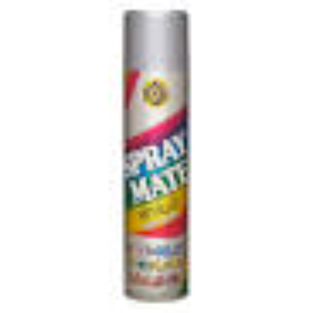 SPRAY PAINT SILVER GREY