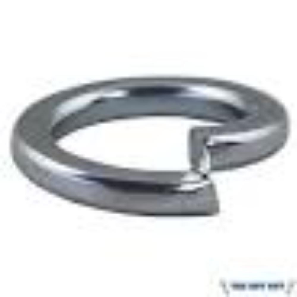 WASHER SPRING M10 EG