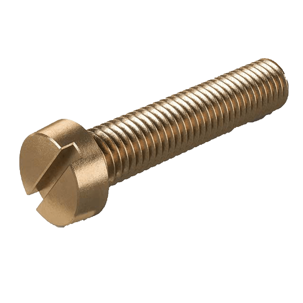 BRASS C/H SCREW M5X20