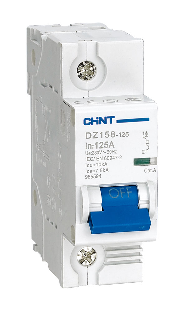CHINT 125A 1P CIRCUIT BREAKER C-CURVE 6KA AC/DC110V (158103)